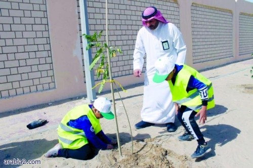 طلاب 4 مدارس بالدمام يزرعون 130 شجرة